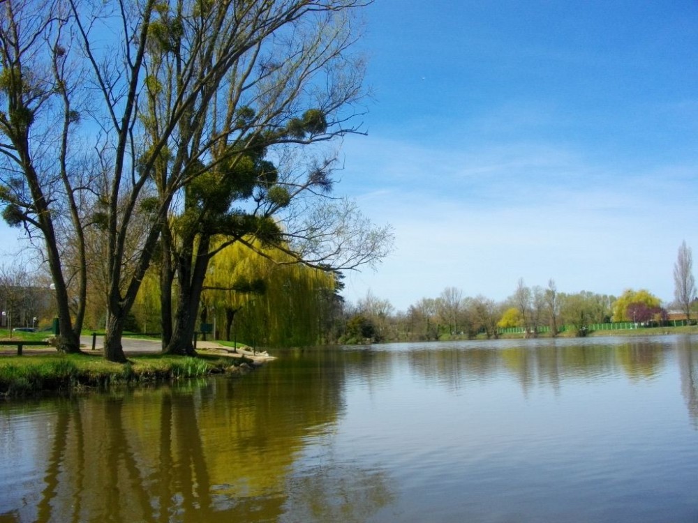 Lac de Saint-Avertin